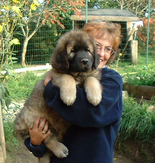 Michèle Joubert